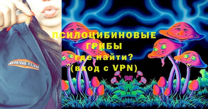 сколько стоит  Кизилюрт  Псилоцибиновые грибы Psilocybine cubensis 